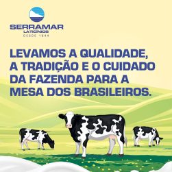 Publicidade