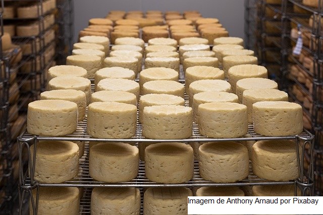 Com foco em premiação, IDR-Paraná promove curso sobre produção de queijo