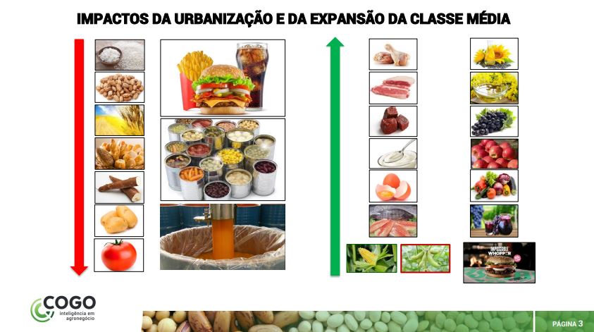 Cenários para a agropecuária no Brasil e no mundo