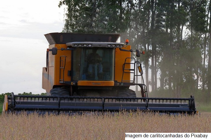Primeiras cultivares de soja com tecnologia Xtend chegam ao mercado
