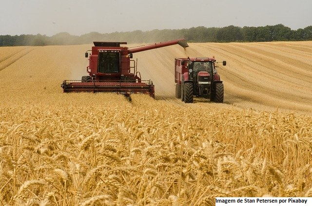 Em 2021, VBP da Agropecuária está previsto em R$ 92,2 bilhões em Goiás