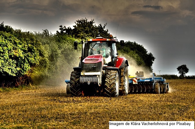 VBP da Agropecuária deve crescer 13,1% em 2025