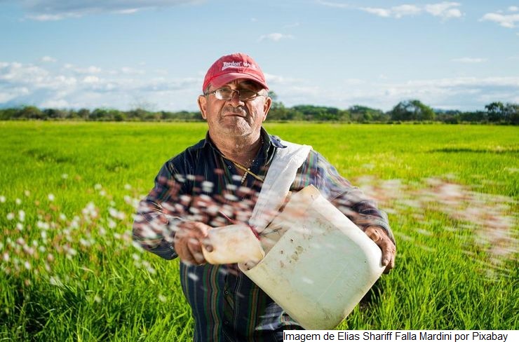 FGV certifica tecnologia da Epagri como ferramenta para redução de riscos climáticos na agricultura familiar