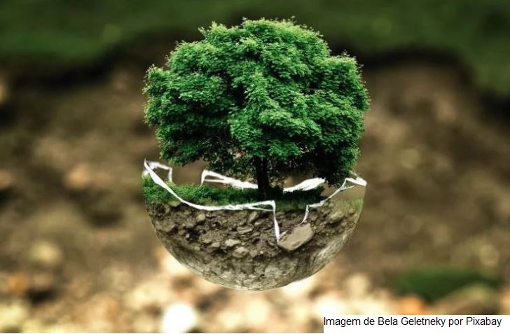Dez das maiores globais do agro assumem compromissos ambientais em roteiro até a COP27