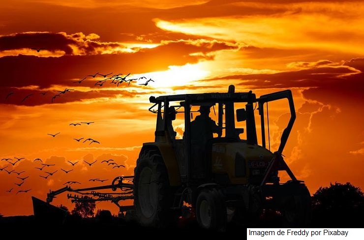 Brasil capacita novos adidos agrícolas