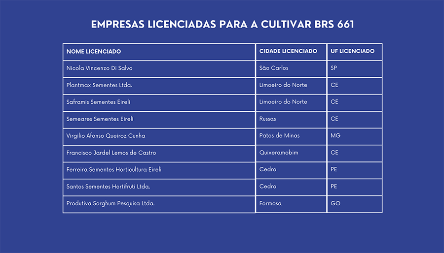 Novo sorgo forrageiro BRS 661 alia alta produtividade e qualidade nutricional
