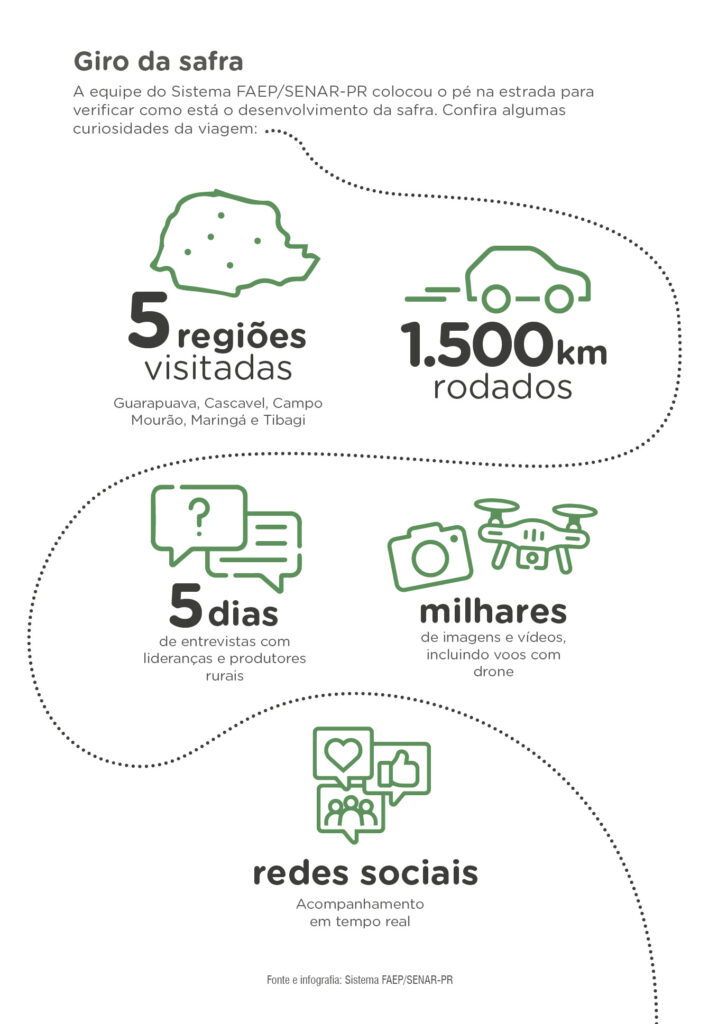Após ciclo com quebra, Paraná deve ter safra recorde de soja