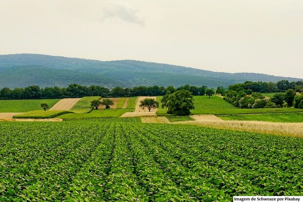 Exportações do agronegócio gaúcho registram alta de 42% no segundo trimestre de 2021