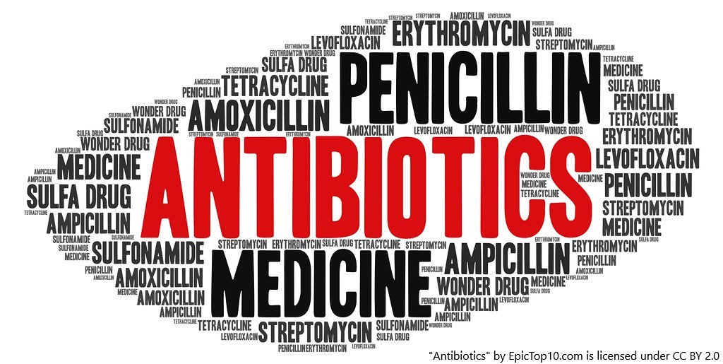 Fique ligado na Semana Mundial de Conscientização sobre o Uso dos Antimicrobianos!