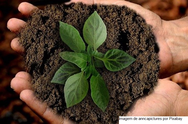Com crescimento de 37% no País, negócios com bioinsumos ganham espaço nas lavouras goianas
