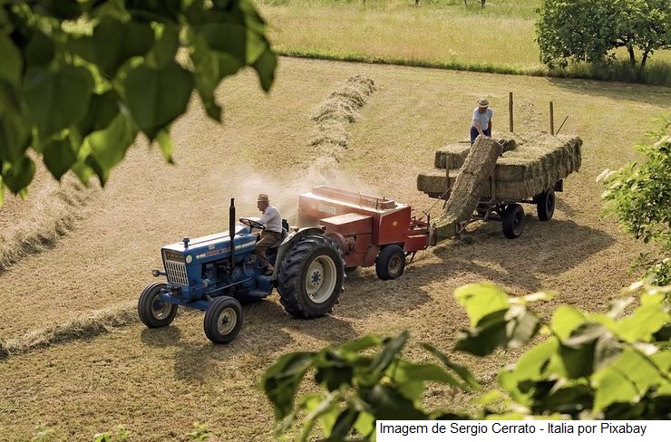 Liberação de crédito rural para Minas registra crescimento de 41%