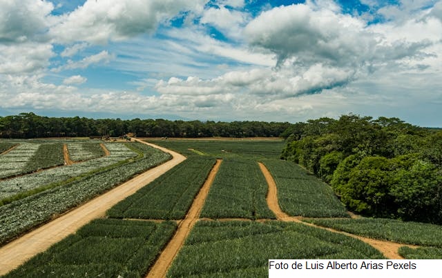 Estudos sobre Bioinsumos traz alternativa que pode gerar economia de US$ 5,1 bi anuais ao agro brasileiro