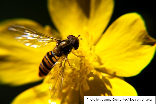 França – Lançada primeira calculadora de pegada de pesticidas para alimentos