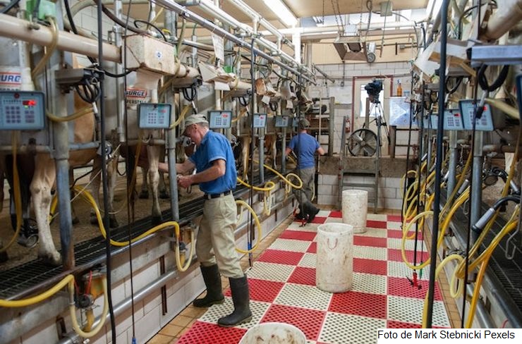 Custo de produção de leite volta a subir e a inflação de agosto chega é 3%
