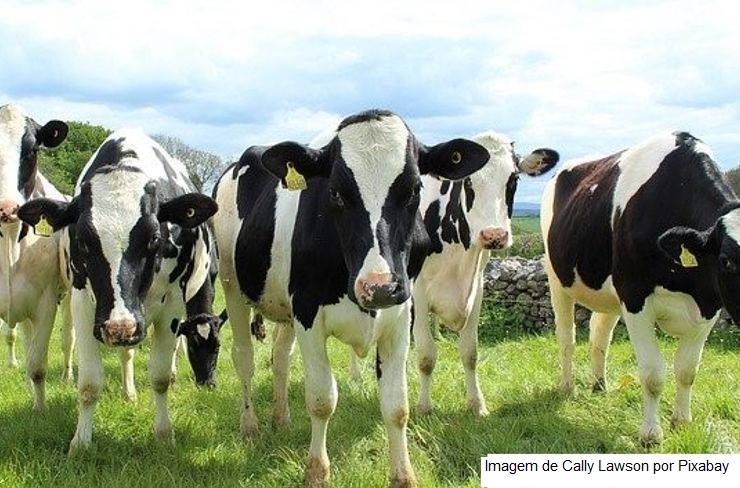 NZ – Fonterra reduz a previsão de pagamento do preço do leite ao produtor em 2022/23