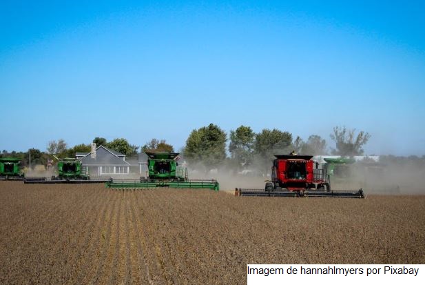 Brasil deve colher 120 milhões de toneladas de soja, diz secretário da Agricultura do Paraná