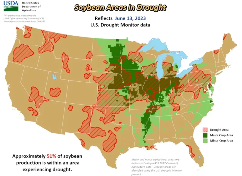 Soja tem altas acumuladas de até 11% em Chicago e mercado brasileiro registra semana de preços melhores