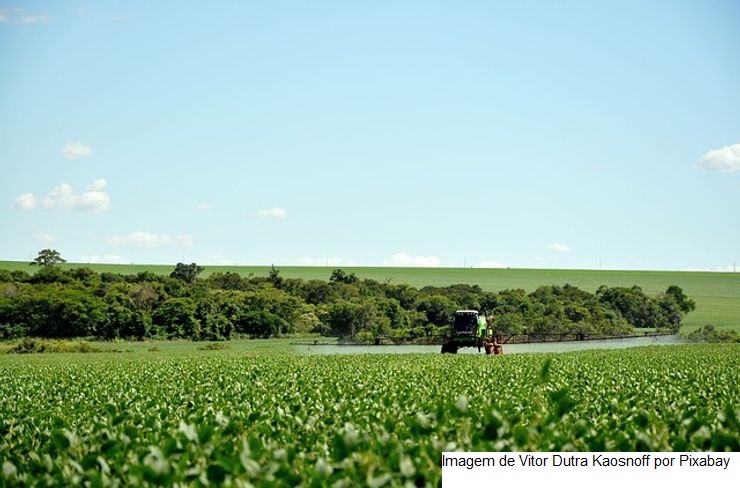 CNA discute atualizações e oportunidades para o Plano Agrícola e Pecuário 2022/2023