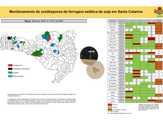 Alertas emitidos pela Epagri ajudam no controle de doença que pode dizimar lavouras de soja