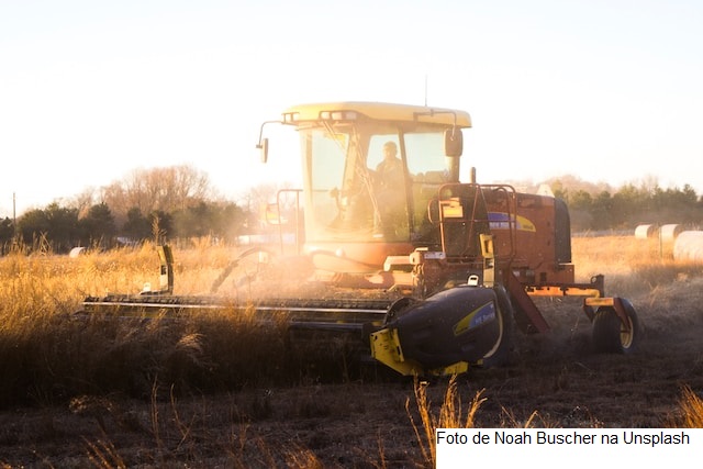 Valor Bruto da Produção Agropecuária de 2023 é atualizado em R$ 1,135 trilhão
