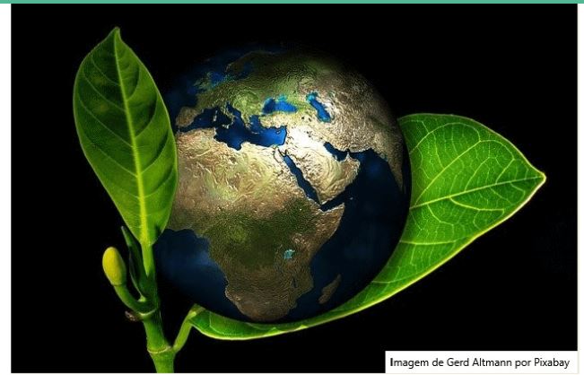 28 de janeiro – Dia Mundial da Redução de CO2