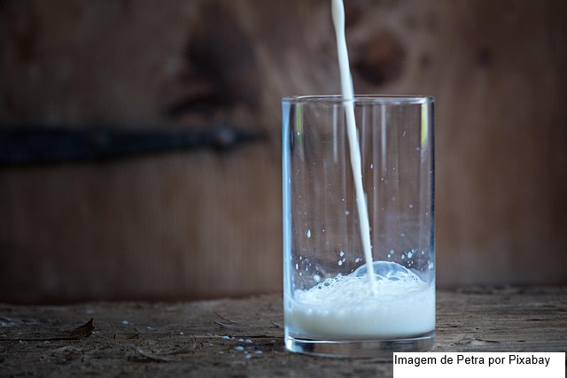 Um estudo acaba de confirmar o que já suspeitávamos: o leite vegetal tem menos nutrientes que o leite de vaca