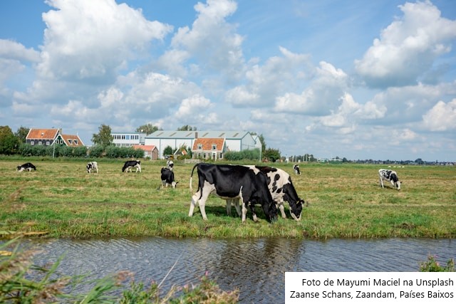 Comissão Europeia autoriza fusão entre Milcobel e FrieslandCampina
