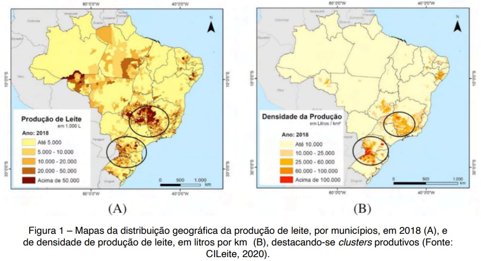 Leite no Brasil: Distribuição espacial e concentração