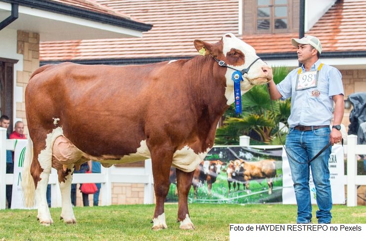 RS - Lançamento da Fenasul Expoleite ocorre no dia 11, em Esteio