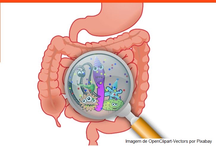 Leite fermentado acelera a recuperação da microbiota após terapia com PPIs