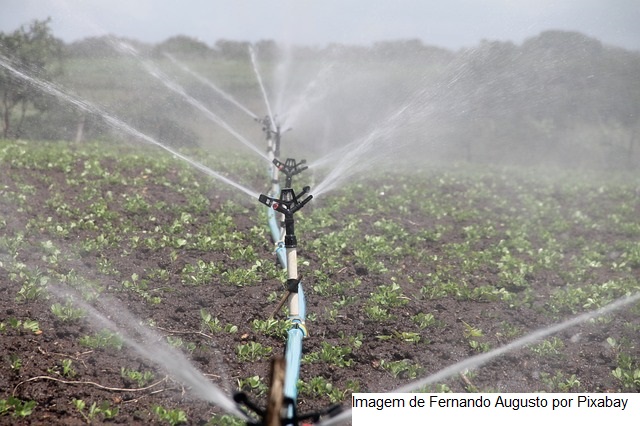 Irrigação do pasto pode ajudar o pecuarista a “colher” até 100@ por hectare por ano