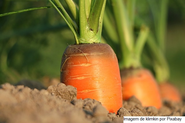 Brasil e Colômbia trocam experiências sobre políticas da agricultura familiar