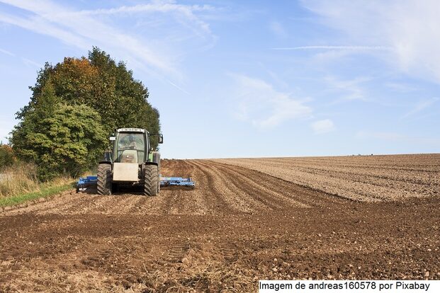 Manutenção da política de desoneração da folha é vantajosa para o agro
