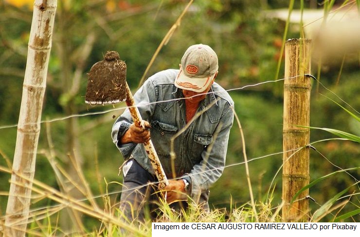 Agricultores do Sul amargam dívidas após financiar a safra com recursos próprios