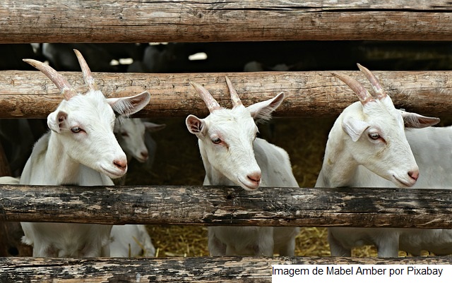 Agricultura brasileira terá US$ 1,2 bi do BID para projetos de sustentabilidade