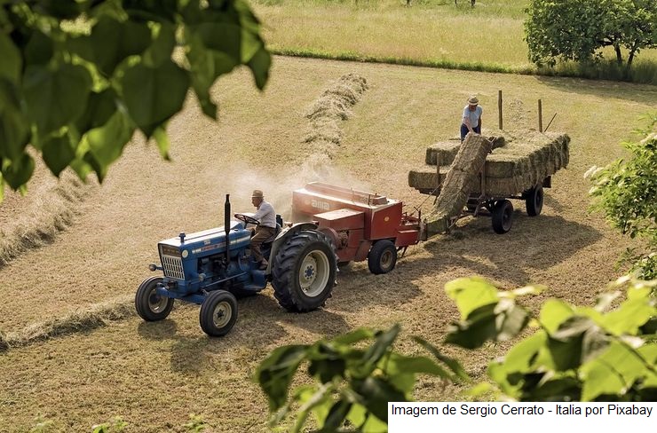 Santa Catarina enfrenta desafios climáticos e de mercado no agronegócio em 2022