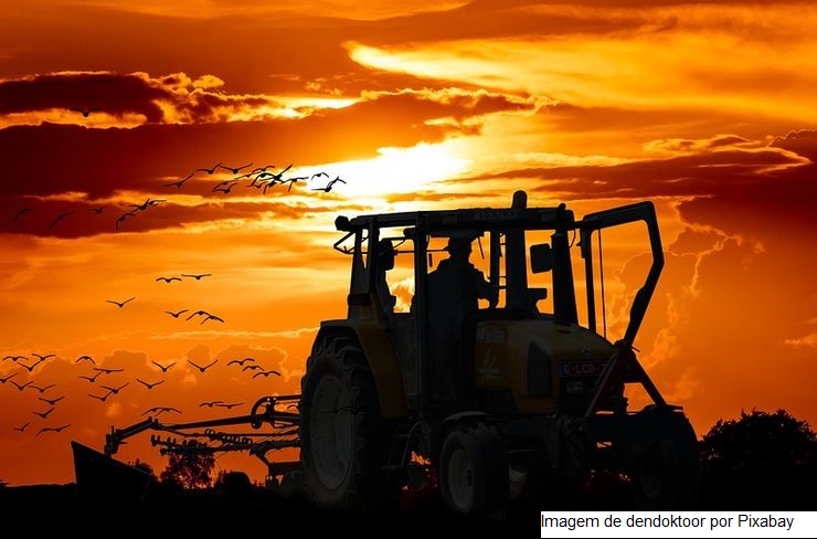 Sistema CNA/Senar premia produtores que se destacaram na ATeG Agronordeste
