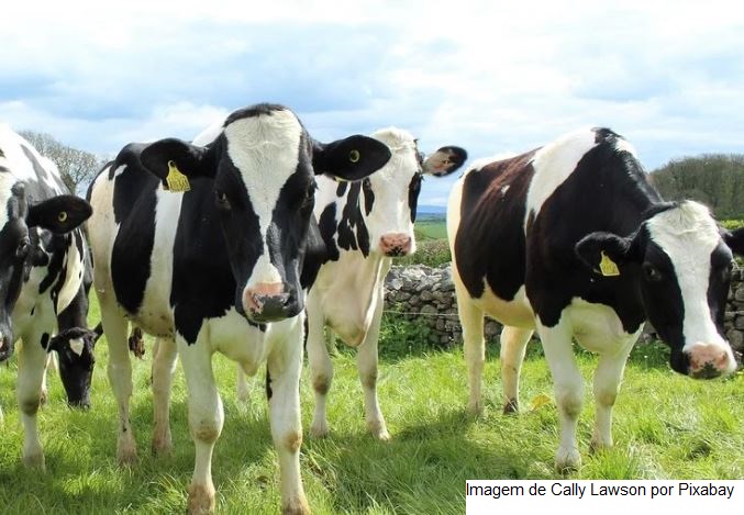 FCO aprova R$ 25,4 milhões para investimentos na modalidade rural