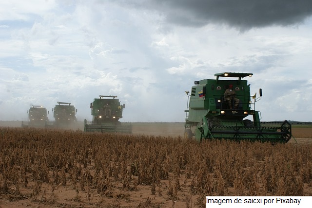 USDA traz estoques trimestrais de soja dos EUA acima da expectativa média e os de milho, abaixo