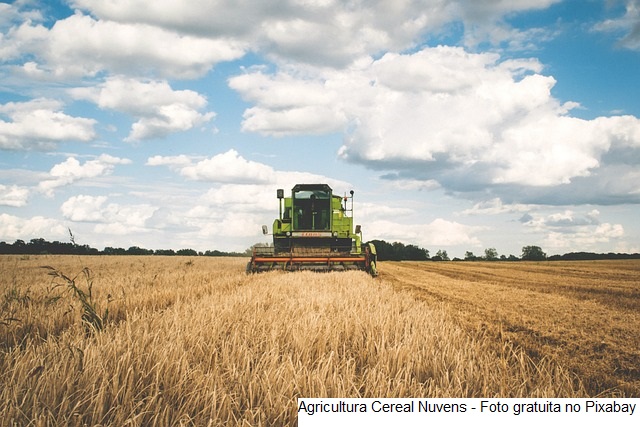 Valor da Produção Agropecuária é previsto em R$ 1,249 trilhão para 2023