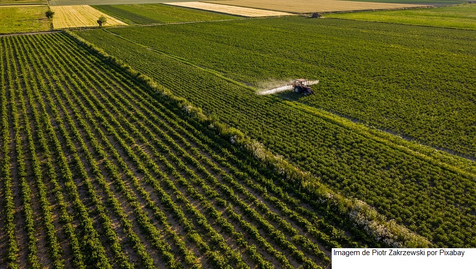Estoque de produtos agrícolas totaliza 44,6 mi de t ao fim do 2º semestre de 2023