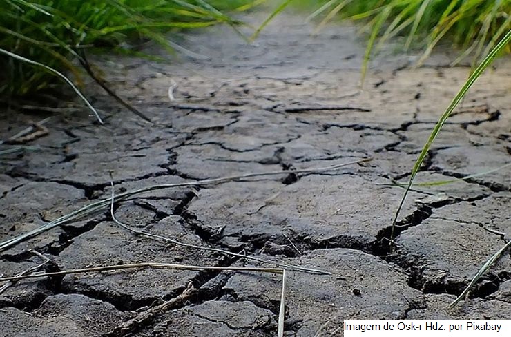Rio Grande do Sul cria Fórum Permanente de Combate à Estiagem