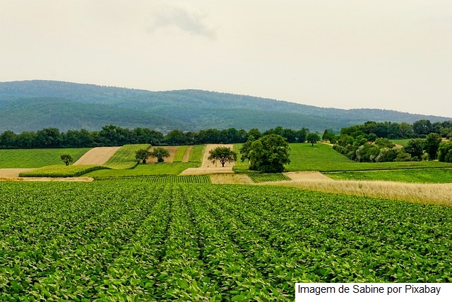 Transição agroecológica traz benefícios biológicos para agricultores do Ceará