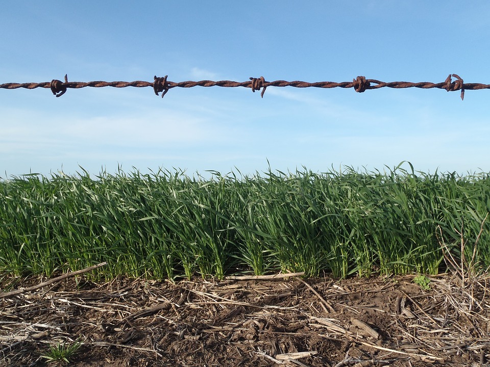 Paraná apresenta plano de agricultura de baixa emissão de carbono