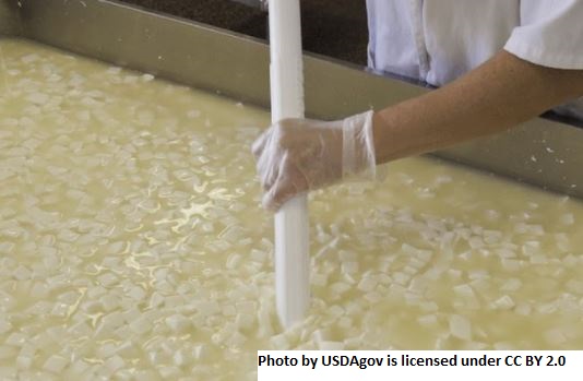 Soro de leite transformado em ácido cítrico para a indústria de Alimentos