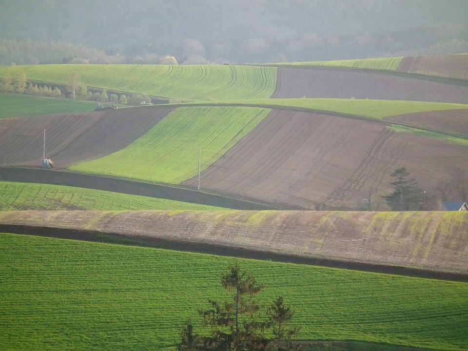 Agro tenta reverter veto à blindagem de orçamento para subsidiar o seguro rural