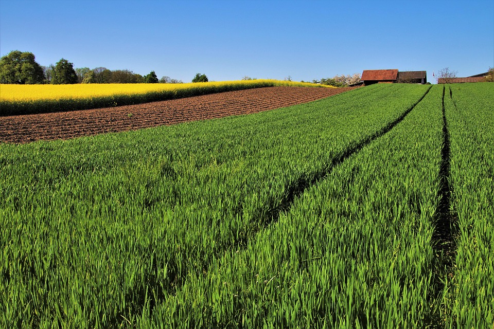 Governo de São Paulo entrega 166 títulos e inaugura primeira unidade do Cozinhalimento em assentamento rural do Estado