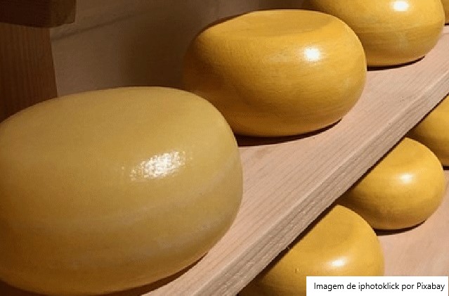 Pesquisa da UFPB desenvolve em Bananeiras (PB) queijo do reino produzido com leite de cabra
