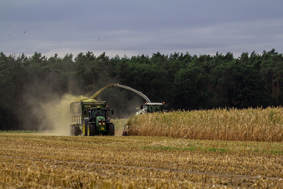PIB do agronegócio brasileiro cresceu 12,20% em 2025