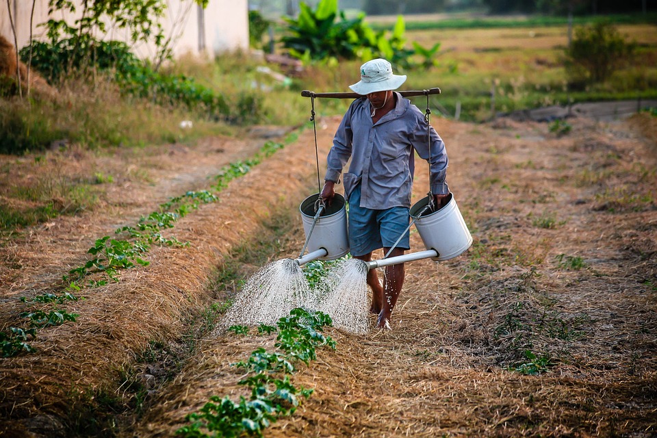 Governo do Estado beneficiará 38 mil famílias através do projeto Sertão Vivo